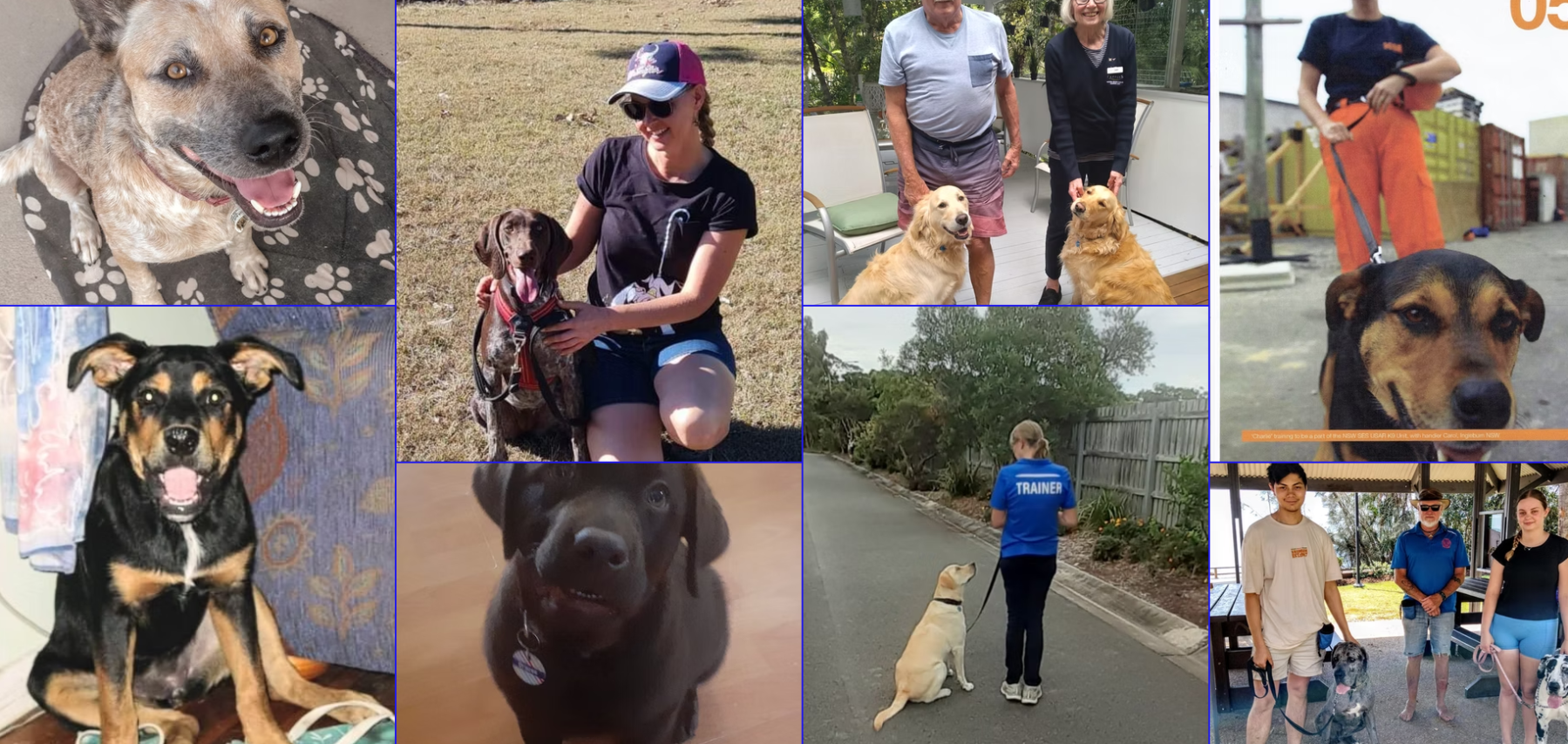 4PAWS Solutions