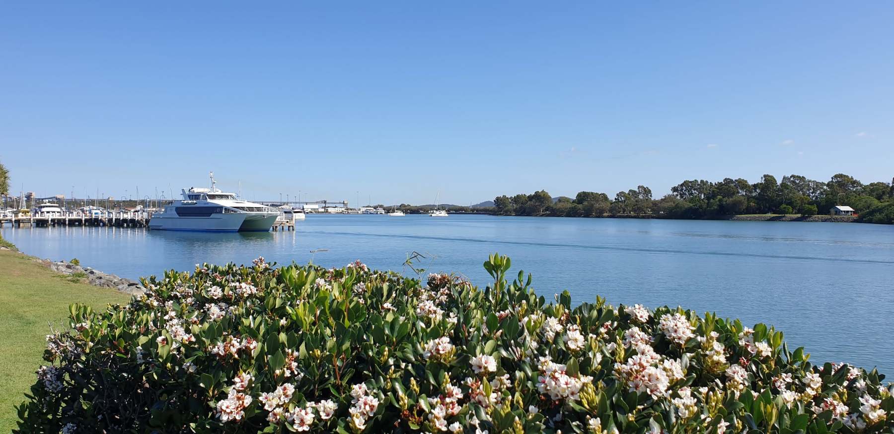 Gladstone Today